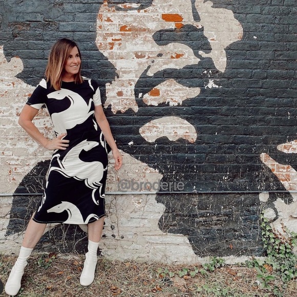 Anthropologie Corey Lynn Calter Caballos Dress - Picture 6 of 6